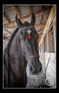 DSC_2422lucafb.jpg portrait photography zionsville carmel nobleville indianapolis